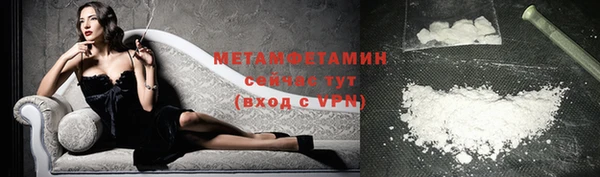 сатива Балахна