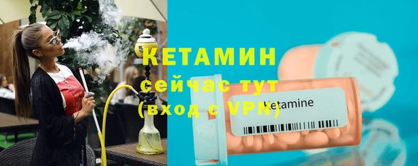 сатива Балахна