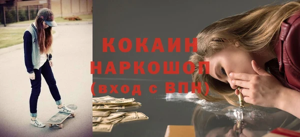 сатива Балахна