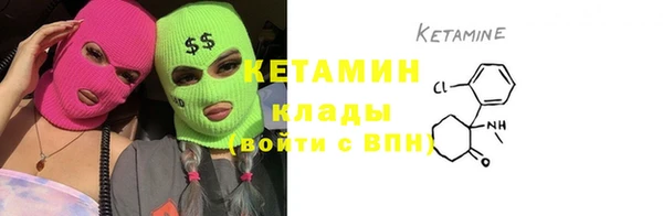 сатива Балахна
