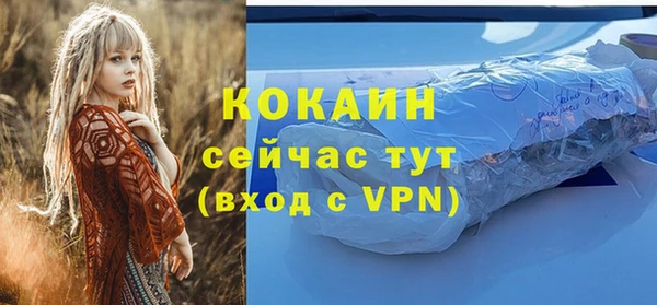 сатива Балахна