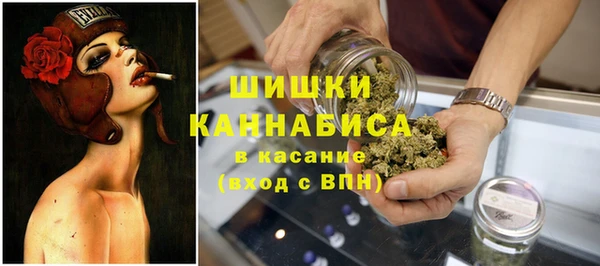 сатива Балахна