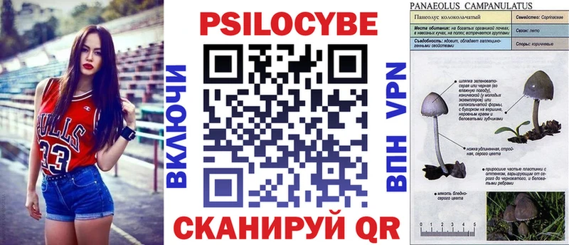 Псилоцибиновые грибы GOLDEN TEACHER  магазин  наркотиков  Югорск 